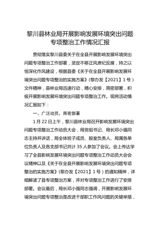 黎川县林业局开展影响发展环境突出问题专项整治工作情况汇报
