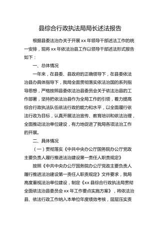 综合行政执法系统局长述法报告（城管）
