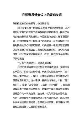 在巡察反馈会议上的表态发言（县委）