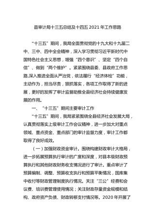 审计系统十三五总结及十四五2021年工作思路