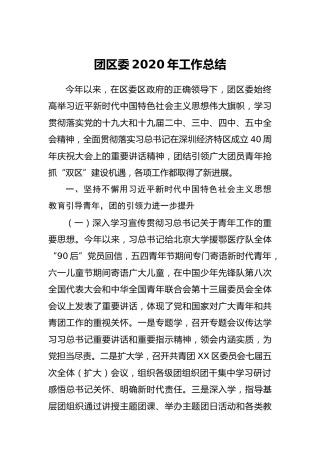 团区委2020年工作总结7100字
