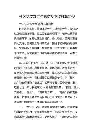 社区党支部工作总结及下步打算汇报3200字