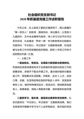社会组织党支部书记2020年抓基层党建工作述职报告