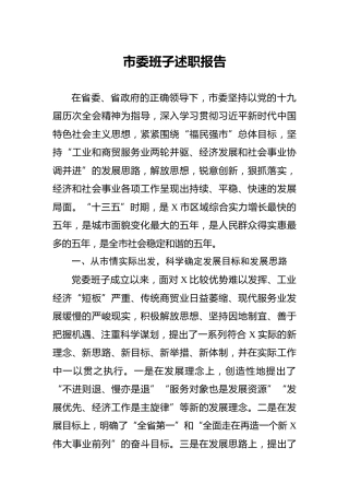 市委班子述职报告4900字