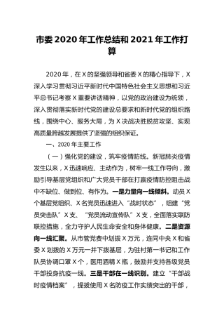 市委2020年工作总结和2021年工作打算5200字