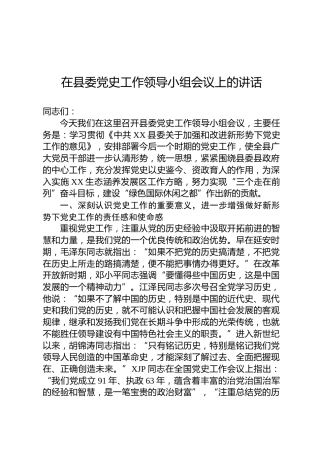 在党史工作领导小组会议上的讲话3600字
