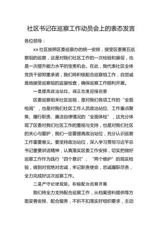社区书记在巡察工作动员会上的表态发言2篇