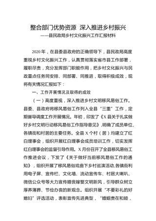 民政系统乡村文化振兴工作汇报