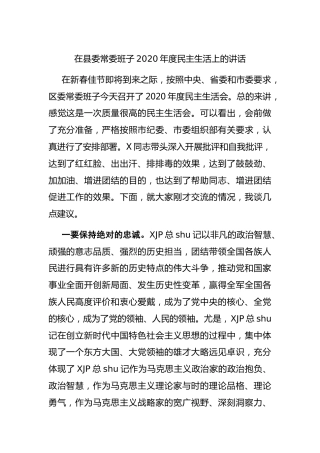 在2020年度民主生活会上的讲话3600字