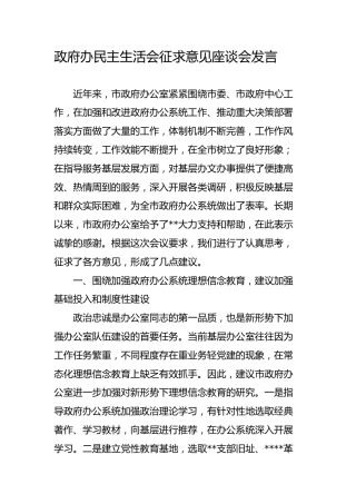 在政府办公室民主生活会征求意见座谈会上的发言