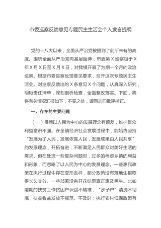巡察反馈意见专题民主生活会个人对照检查3200字