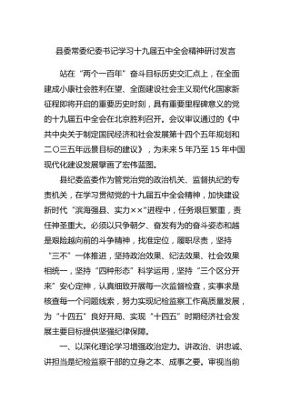 纪委书记学习十九届五中全会精神研讨发言2篇