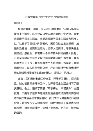 在民主生活会上的总结讲话2100字