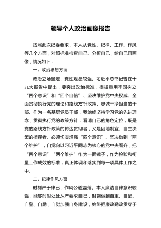 领导个人政治画像报告1000字