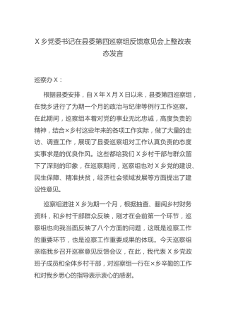 乡镇书记在巡察反馈意见会上的整改表态发言