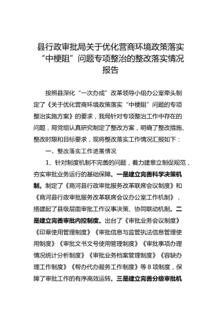 县行政审批局关于优化营商环境政策落实“中梗阻”问题专项整治的