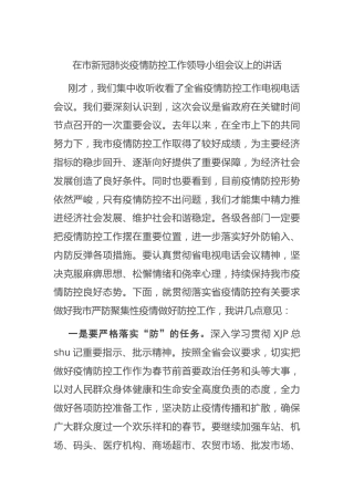 疫情防控工作领导小组会议上的讲话