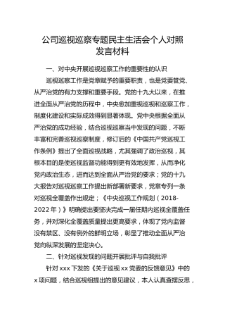 公司巡视巡察专题民主生活会个人对照发言材料1500字