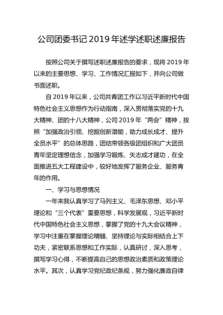 公司团委书记述学述职述廉报告5000字