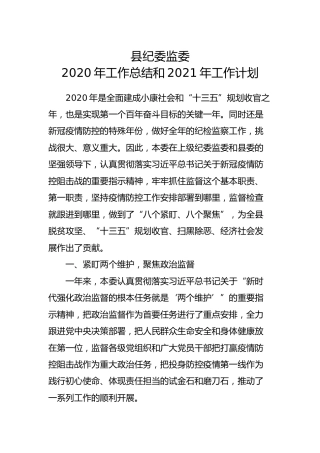 纪委监委2020年工作总结和2021年工作计划7900字