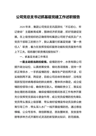 公司党支部书记抓基层党建工作述职报告3600字