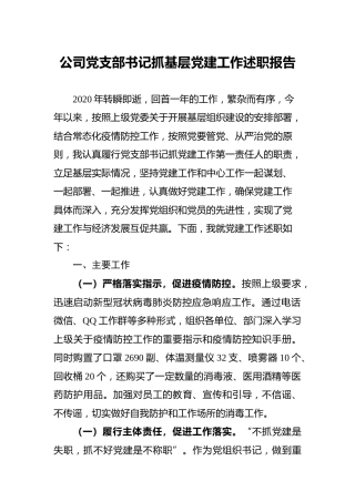 公司党支部书记抓基层党建工作述职报告3500字