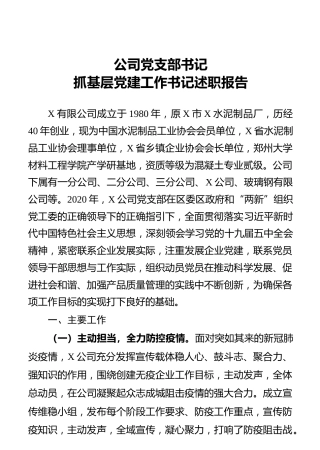 公司党支部书记抓基层党建工作述职报告2篇