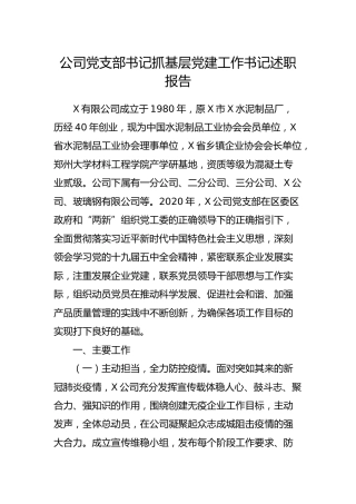 公司党支部书记抓基层党建工作书记述职报告3400字