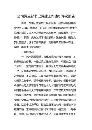公司党支部书记党建工作述职评议报告3700字