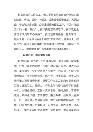市领导述职述廉报告3300字