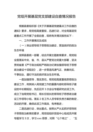 机关党组开展基层党支部建设自查情况报告