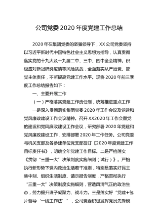 公司2020年度党建工作总结4000字