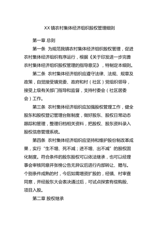 乡镇农村集体经济组织股权管理细则
