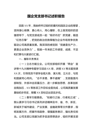 国企党支部书记述职报告1600字