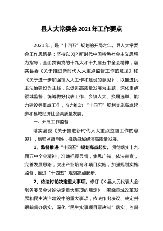 人大2021年工作要点