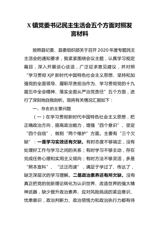 乡镇党委书记民主生活会五个方面对照发言材料3400字