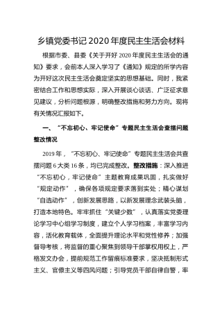 乡镇党委书记2020年度民主生活会五个方面对照检查材料6400字
