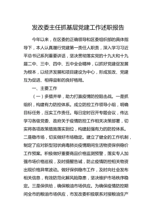 发改系统2020年度抓基层党建工作述职报告4100字