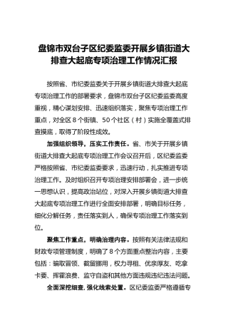 盘锦市双台子区纪委监委开展乡镇街道大排查大起底专项治理工作情况汇报