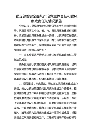 党支部落实全面从严治党主体责任和党风廉政责任制情况报告
