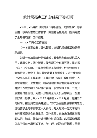 统计系统亮点工作总结及下步打算