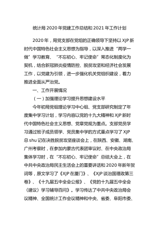 统计系统2020年党建工作总结和2021年党建工作计划5000字