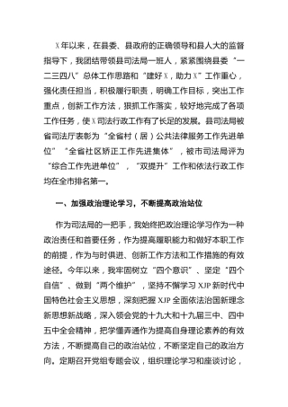 司法系统局长2020年度述职报告4500字