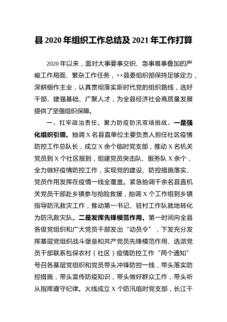 2020年组织工作总结及2021年工作打算3500字
