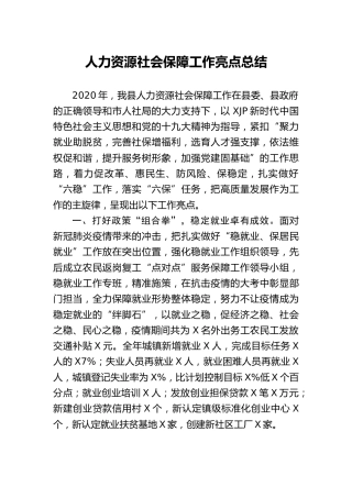 人社系统2020年度工作亮点总结