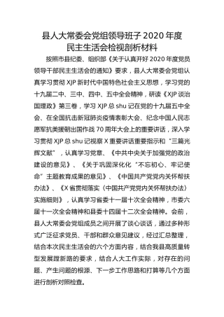 人大领导班子2020年度民主生活会对照检查材料（8000字）