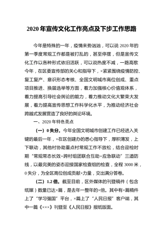 2020年宣传文化工作亮点及下步工作计划2600字