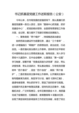 书记抓基层党建工作述职报告（公安3100字）