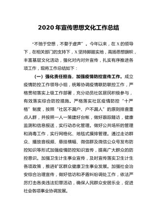 2020年宣传思想文化工作总结3900字