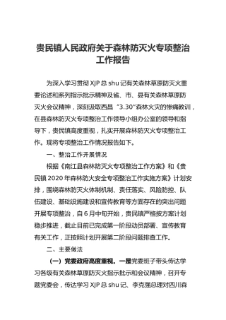贵民镇人民政府关于森林防灭火专项整治工作报告